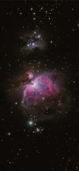在深空中被無數星星包圍的充滿活力的粉紅色和紫色星雲。