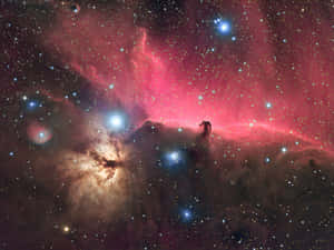 深空中帶有發光恆星的充滿活力的粉紅色和藍色星雲。 — 星雲 壁紙