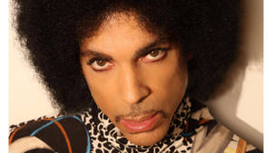 Prince 留著非洲爆炸頭，穿著豹紋領，直視鏡頭。