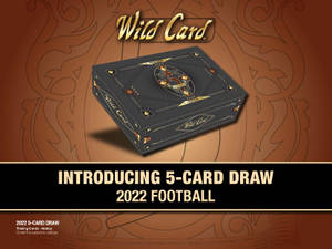 Wild Card 2022 年足球交易卡盒，在棕色圖案背景上帶有金色點綴。