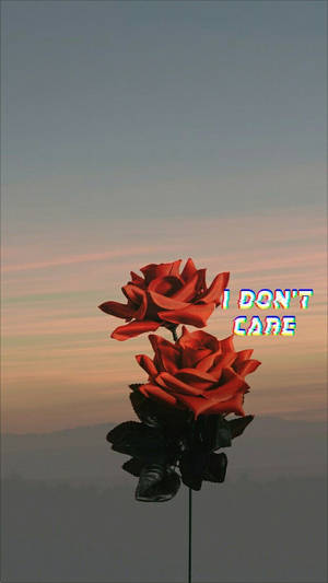 兩朵紅玫瑰，帶有故障風格文字 I DON'T CARE，襯托暮色天空。