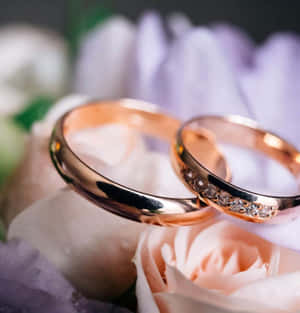 兩枚鑲鑽玫瑰金結婚戒指，點綴在粉紅和薰衣草玫瑰之間。 — 玫瑰金風格 壁紙