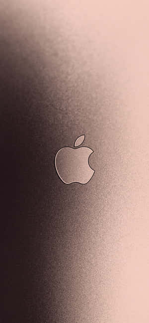 拉絲金屬上的Apple標誌，玫瑰金漸變背景