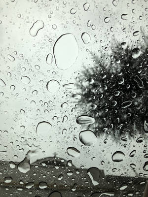 窗戶上的雨滴和背景中模糊的樹木。