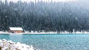 松樹環繞的碧綠湖邊雪覆蓋小屋。
