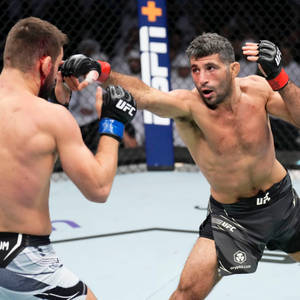 兩名男性MMA拳手在八角籠中於UFC比賽期間互毆。
