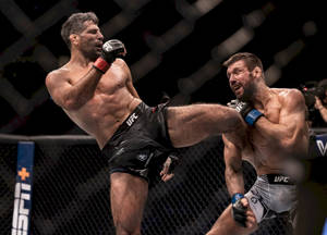 兩名男性MMA拳手在八角籠中，其中一人使出高踢。
