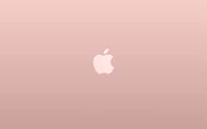 玫瑰金色筆記本電腦蓋，漸變背景上中央白色Apple標誌