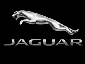 銀色美洲豹跳躍標誌，帶有「JAGUAR」文字，黑色背景。