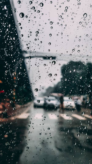 車窗上的雨滴，背景是模糊的城市街道。