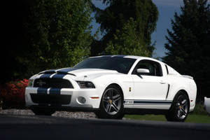 白色福特 Mustang GT500 帶有藍色賽車條紋，停泊在戶外樹木旁。 — 美學 iPhone 壁紙