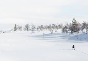 一個人在雪地冬季景觀中獨自滑雪，周圍有散落的樹木。