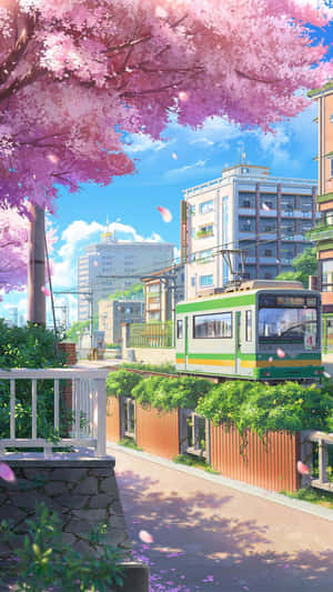 櫻花飄落在陽光明媚的街道上的一輛綠色電車上。