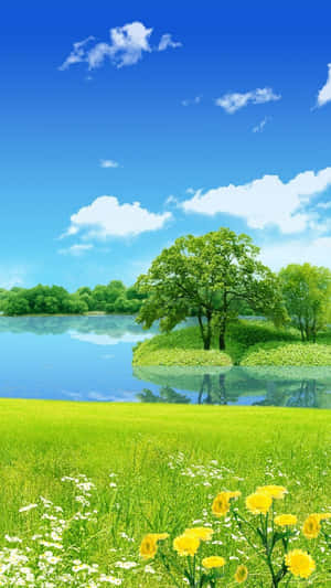 平靜湖邊的茂密綠色草地上有黃色雛菊，在藍天白雲下。 — 湖景 壁紙