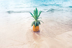 沙灘淺海水中的菠蘿。
