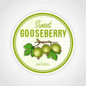 圓形標籤，展示帶有綠色鵝莓的樹枝，文字為 sweet gooseberry natural。