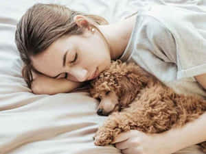 一名女子和她的貴賓犬一起在床上睡覺。