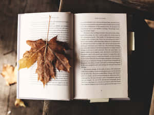 打開的書頁上的乾燥秋葉，木桌 — 城市景觀 壁紙