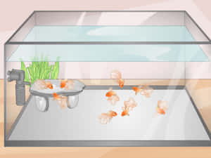 金魚在家用水族箱中與植物和過濾器一起游泳。