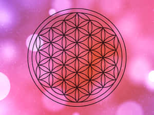 黑色生命之花符號在粉紅紫色發光背景上
