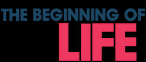 粗體文字圖形顯示「THE BEGINNING OF LIFE」，其中「LIFE」為粉紅色，背景為黑色。