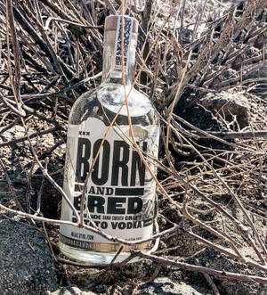 被遺棄的伏特加酒瓶，置於乾燥灌木叢和泥土中，烈日當空。 — Honor Magic V Flip 2 壁紙