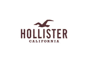 Hollister California 標誌，以棕色紋理字體展示品牌名稱，上方有一隻海鷗。