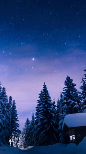 雪中小屋，星空冬日天空，松樹