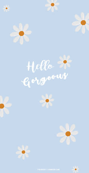 白色雛菊帶橙色花心，在藍色背景上漂浮，並有 hello gorgeous 文字。