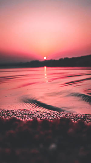 粉紅色日落倒映在平靜的水面上，前景有濕沙。