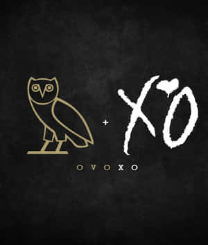 金色貓頭鷹標誌和白色 XO 文字，黑色紋理背景