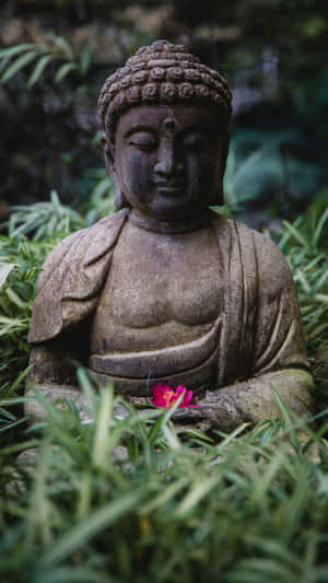 花園中的石佛像，膝上放著粉紅色花朵