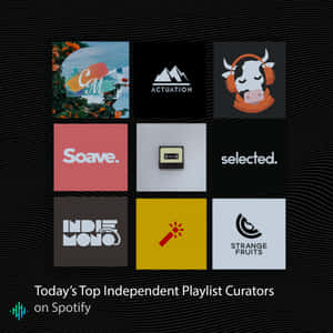 黑色波浪背景上九個獨立音樂播放清單策展人標誌的網格，帶有Spotify文字。