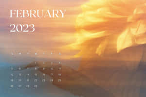 2023年2月日曆，抽象橙色和藍色背景。
