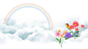 一隻鳥兒棲息在蓬鬆雲朵中彩虹下的彩色花朵上。