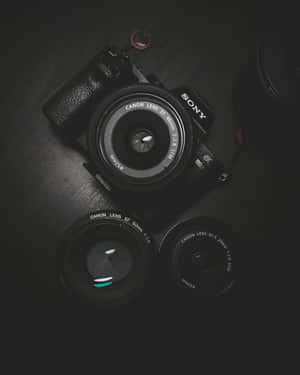 Sony相機和Canon鏡頭排列在深色表面上。