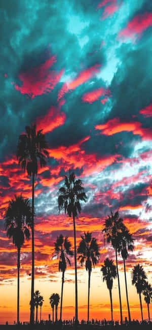 棕櫚樹在色彩繽紛的夕陽天空下形成剪影，天空中有橘紅色和藍綠色的雲彩。 — iPhone 18 Pro Max 壁紙