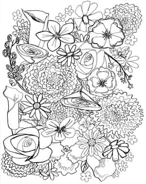 黑白花卉線條藝術插圖，具有複雜的圖案和多樣的花卉類型。