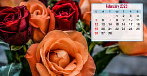 2023年2月日曆疊加在一束紅和蜜桃色玫瑰上。