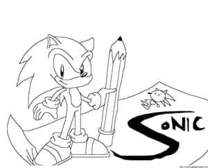 Sonic the Hedgehog 喺填色頁入面同 Tails 一齊喺佢個名旁邊拎住一支巨型鉛筆。 — 黑白 壁紙