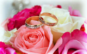 兩枚金色結婚戒指藏在粉紅和白色玫瑰之間。