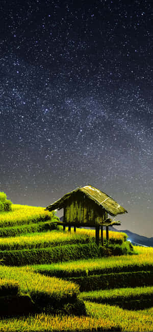 星空下梯田上的質樸木屋 — Pixel 6 Pro 壁紙