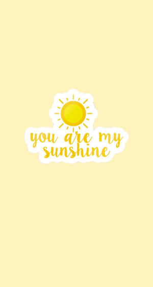 一個太陽圖案，在奶油色背景上寫著「you are my sunshine」。