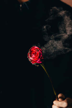 一隻手拿著一朵冒煙的紅玫瑰，背景為深色。 — 玫瑰 壁紙