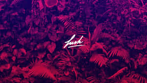 洋紅色和紫色的熱帶叢林樹葉，帶有白色草書 'lush' 標誌。