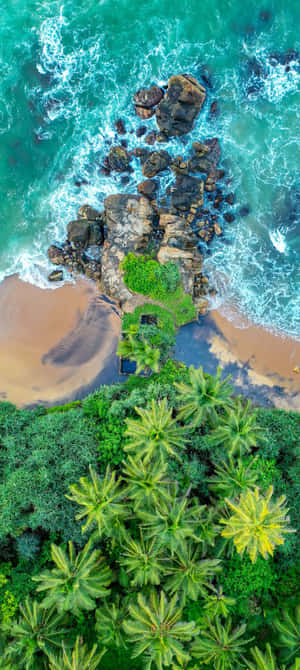 熱帶海灘的空中俯瞰，棕櫚樹和碧綠的海浪拍打岩石。