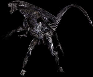 透明異形Xenomorph PNG - 異獸戰 PNG 下載 — Alienware GIF 壁紙