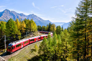 紅色火車穿過秋日森林，背景有山脈