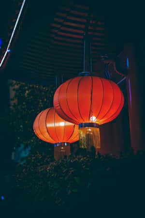 夜晚兩盞發光的紅色燈籠掛著，下方有綠植。 — 燈籠 壁紙
