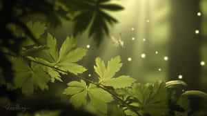 蝴蝶在綠葉間飛翔，陽光森林中閃爍著發光粒子